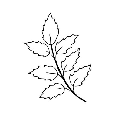 Çiçekli el sosyal medya hikayesi için karalama ikonu çizdi. El yapımı düğün bitkisi, bitki