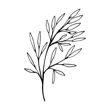 Çiçekli el sosyal medya hikayesi için karalama ikonu çizdi. Sevimli, tek elle çizilmiş bitkisel element.