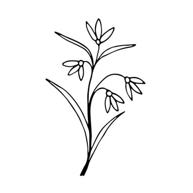 Vurgulama Simgesini gizle. Sevimli, tek elle çizilmiş bitkisel element.