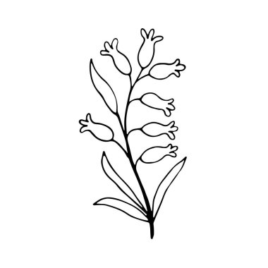 Düğün dekorasyonu için el yapımı tek yaprak. Sevimli, tek elle çizilmiş bitkisel element.