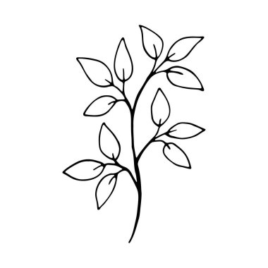 Sosyal medya hikayesi için çiçek el karalama ikonu çizdi. Mürekkep çizili dal