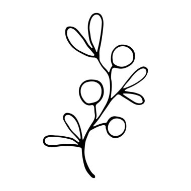 Mürekkeple boyanmış yapraklarla el çizimi ağaç dalı. Vurgulama Simgesini gizle. Moda soyut organik ve grafik öğeler. Sanat yaprakları doğal bitkileri hizada bırakır.