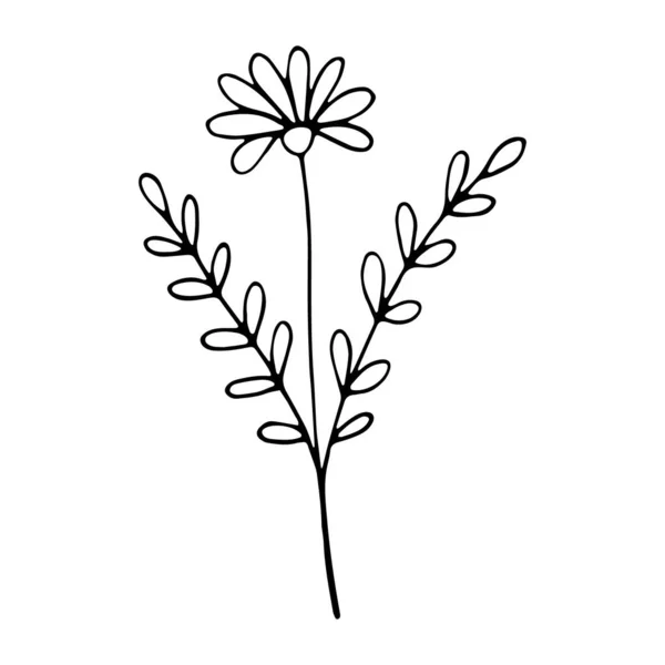 Floral Λουλούδι Ζωγραφισμένα Στο Χέρι Doodle Εικονίδιο Για Την Ιστορία — Διανυσματικό Αρχείο