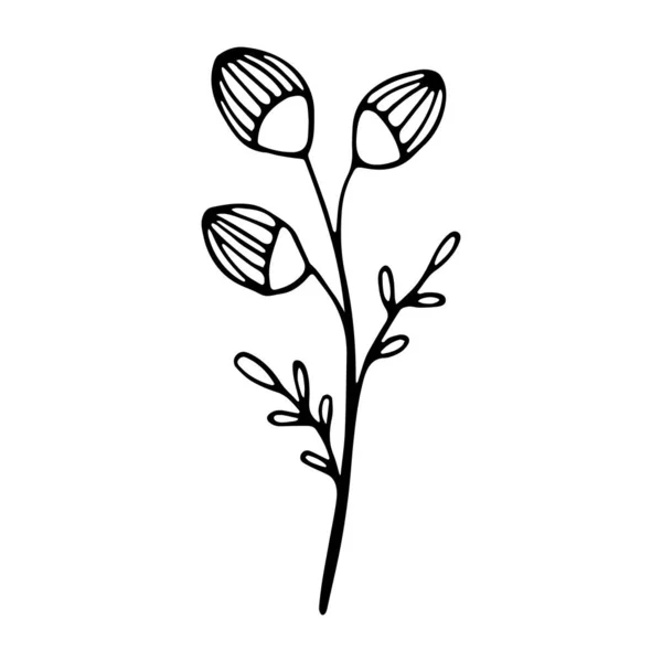 結婚式の装飾のための単一の葉を描いた ソーシャルメディアストーリー手描きベクトル花要素 — ストックベクタ
