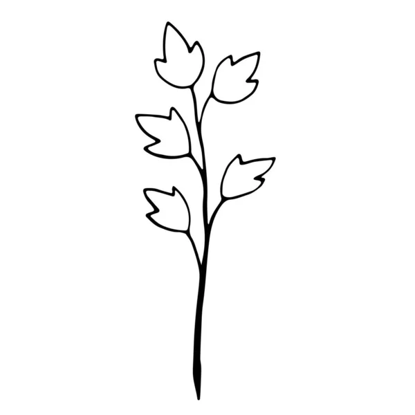 Květinová Ručně Kreslená Ikona Pro Příběh Sociálních Médií Větev Kreslená — Stockový vektor