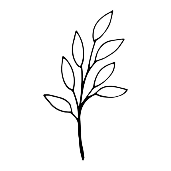 在白色上隔离的单个涂鸦叶 植物草图 社交媒体故事花卉元素 — 图库矢量图片