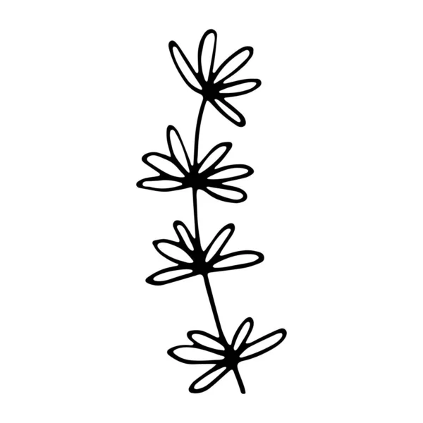 Διάνυσμα Floral Εικόνα Κλάδο Λογότυπο Λεβάντας — Διανυσματικό Αρχείο