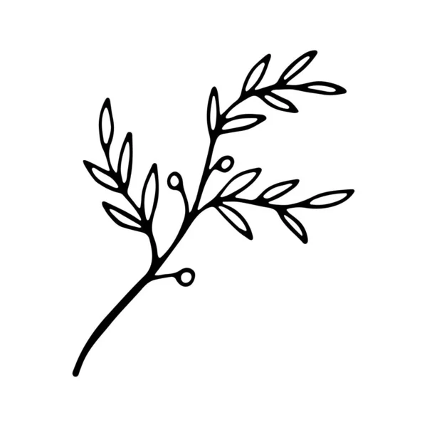 手绘婚礼装饰用的单片叶子 手绘树枝 叶用墨水画 — 图库矢量图片