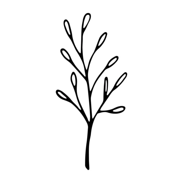 植物草图 社交媒体故事花卉元素 手绘树枝 叶用墨水画 — 图库矢量图片