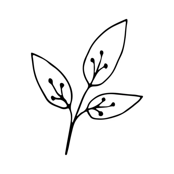 Fleur Florale Dessinée Main Icône Doodle Pour Histoire Des Médias — Image vectorielle