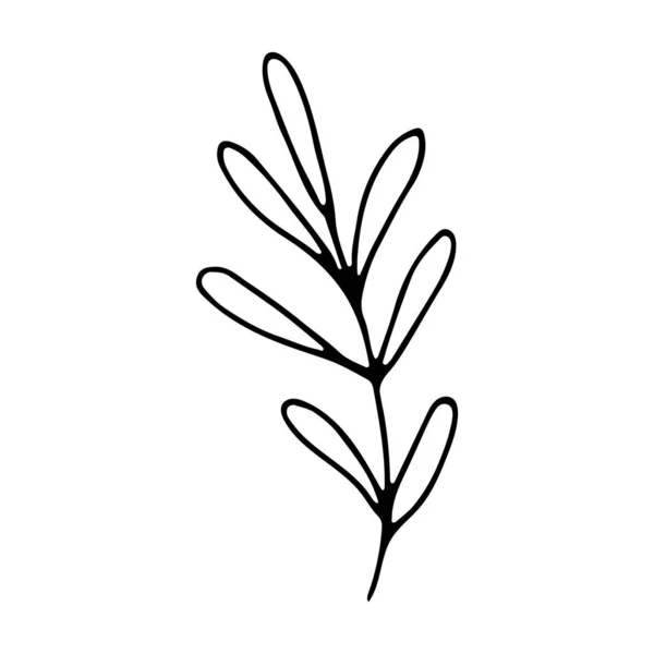 Bloemenhand Getekend Doodle Icoon Voor Social Media Verhaal Schattig Hand — Stockvector