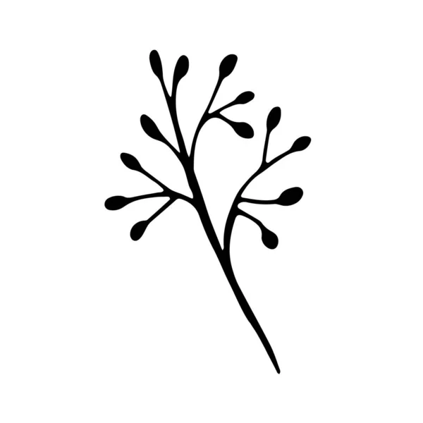 Herbe Mariage Dessinée Main Plante Fleur Florale Dessinée Main Icône — Image vectorielle