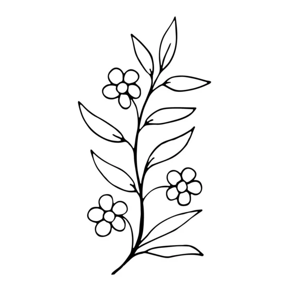 Fleur Florale Dessinée Main Icône Doodle Pour Histoire Des Médias — Image vectorielle