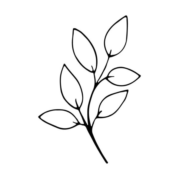 手绘结婚香草 盖上高光图标 潮流抽象的有机和图形元素 艺术树叶天然叶子草本植物的线条风格 — 图库矢量图片