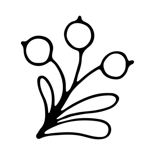 Lindo Elemento Herbal Dibujado Mano Sola Icono Destacar Portada Elemento — Archivo Imágenes Vectoriales