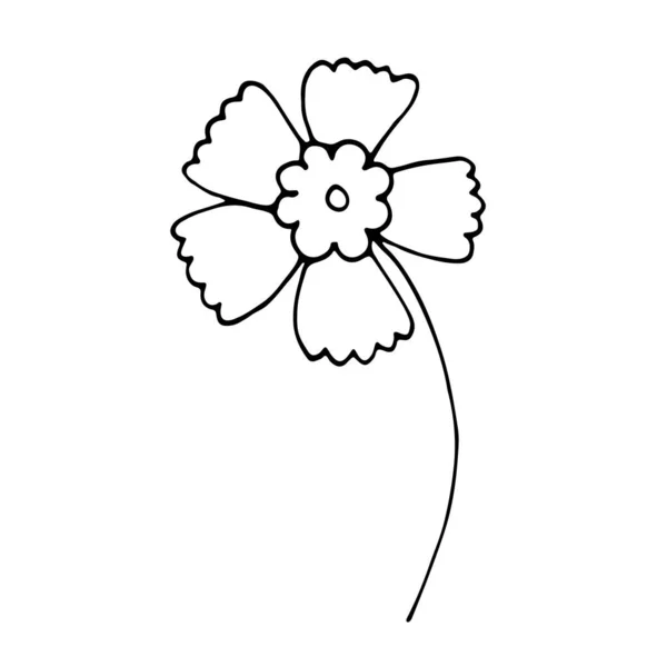 Floral Flor Mão Desenhado Doodle Ícone Para História Mídia Social — Vetor de Stock