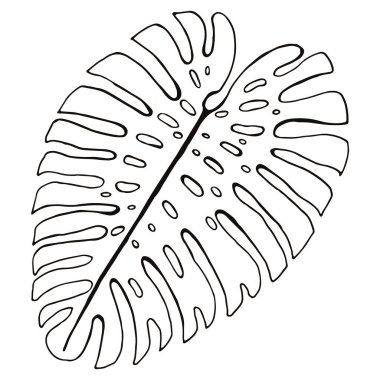 Soyut tropikal yaprak beyaza izole edilmiş. Çiçek eskizi. Sosyal medya hikayesi çiçek elementi. Philodendron Yaprağı