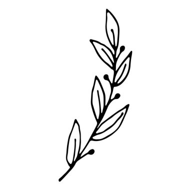 Düğün dekorasyonu için el yapımı tek yaprak. Sosyal medya hikayesi ve ön plan kapağı için çiçek el karalama simgesi