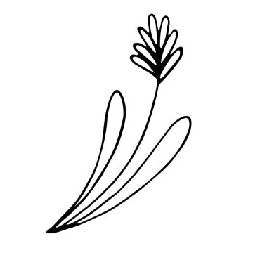 Sosyal medya hikayesi için çiçek el karalama ikonu çizdi. Mürekkep çizili dal