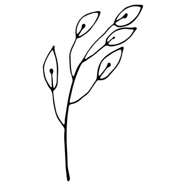 Sosyal medya hikayesi için çiçek el karalama ikonu çizdi. Mürekkep çizili dal