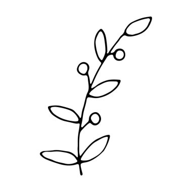 Beyazın üzerinde yalıtılmış grunge yaprağı. Çiçek eskizi. Sosyal medya hikayesi çiçek elementi