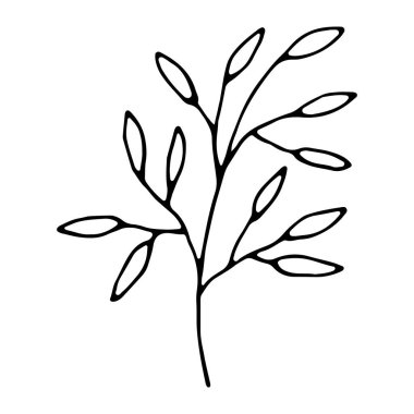 Vektör çizimi çizimi. Çizgi sanatı veya ana hatlarında botanik vektörü.
