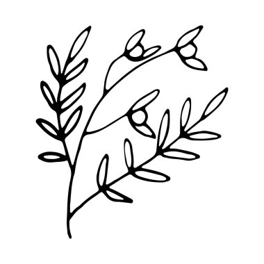 Sosyal medya hikayesi için çiçek ikonu. El çizimi papatya çayı