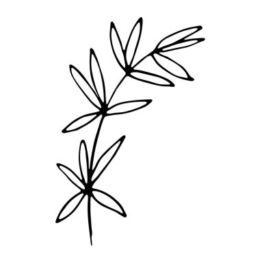 Sosyal medya hikayesi için çiçek el çizimi simgesi