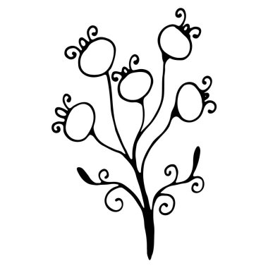 El yapımı düğün bitkisi, bitki. Sosyal medya hikayesi için çiçek el çizimi simgesi