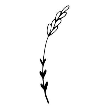 El yapımı düğün bitkisi, bitki. Lavanta logosu