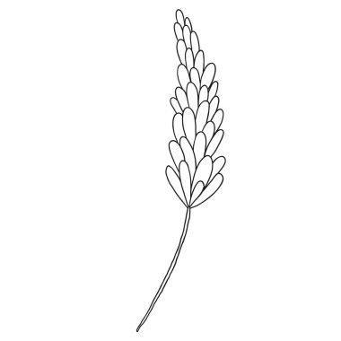 El yapımı düğün bitkisi, bitki. Sosyal ağ vurgulama hikayeleri simgesi