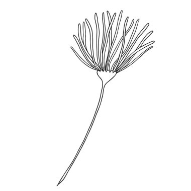 El çizimi çiçek karalaması. Tasarım davetiyesi, düğün kartı, sevgililer günü için dekorasyon ögesi.