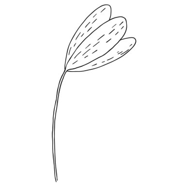 El çizimi çiçek karalaması. Tasarım davetiyesi, düğün kartı, sevgililer günü için dekorasyon ögesi.