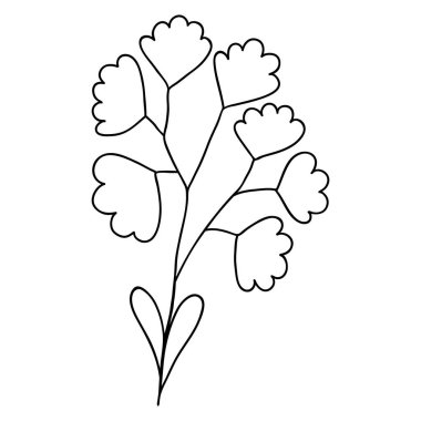 Çizgi ya da dış hatlarda botanik vektörü. El yapımı düğün bitkisi, bitki