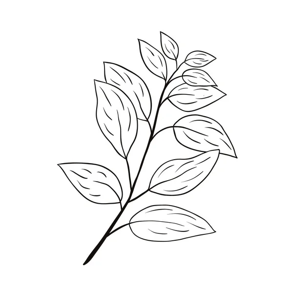 Couverture Highlight Icône Floral Dessiné Main Icône Doodle Pour Histoire — Image vectorielle