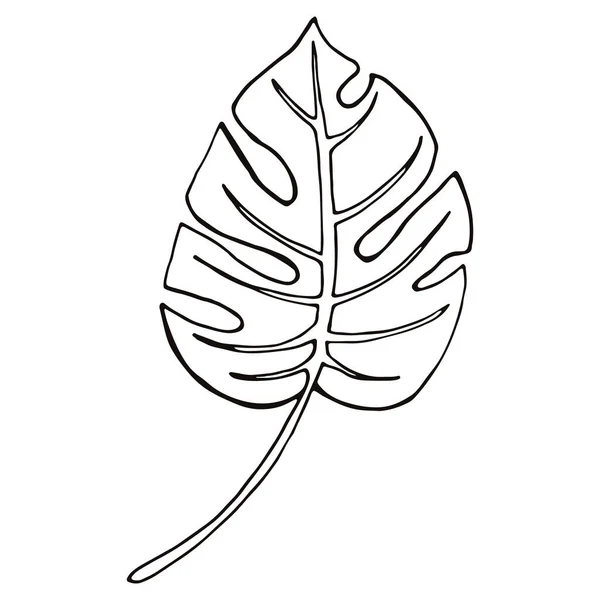 Monstera Leaf Line Art 순회그리기 추상적 잎들이 흰색에 고립되어 있습니다 — 스톡 벡터
