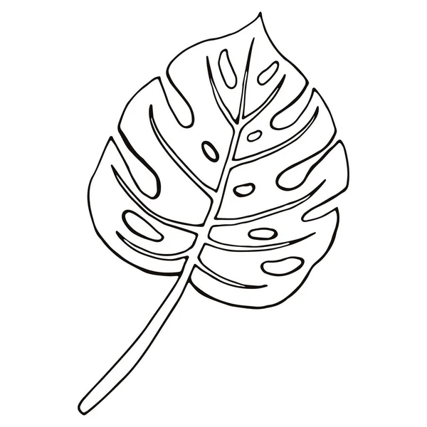 Monstera Leaf Line Art Графік Туру Абстрактний Тропічний Листок — стоковий вектор