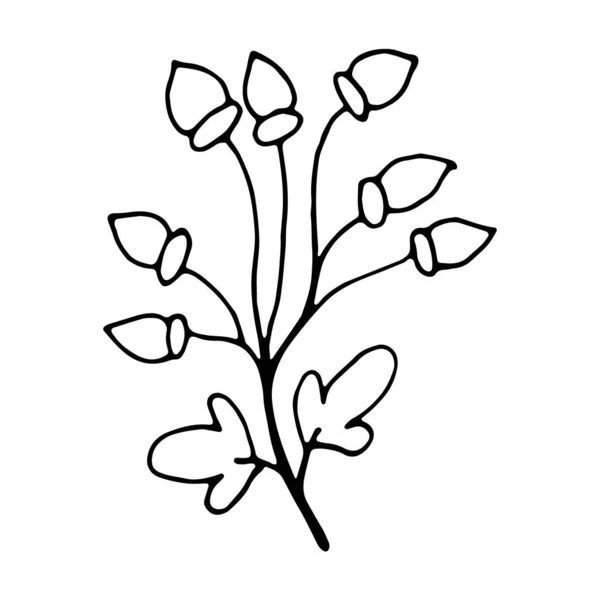 Blumen Handgezeichnetes Doodle Symbol Für Social Media Story — Stockvektor