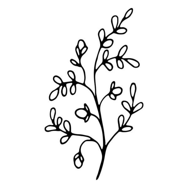 Fleur Florale Dessinée Main Icône Doodle Pour Histoire Des Médias — Image vectorielle