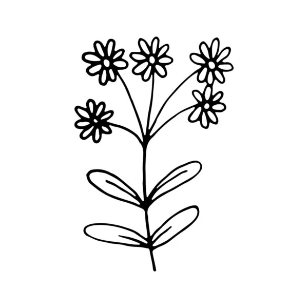 Floral Doodle Εικονίδιο Για Την Ιστορία Των Μέσων Κοινωνικής Δικτύωσης — Διανυσματικό Αρχείο