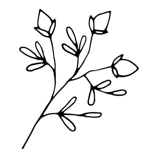 Χειροποίητο Γαμήλιο Βότανο Floral Χέρι Ζωγραφισμένα Εικονίδιο Doodle Για Την — Διανυσματικό Αρχείο