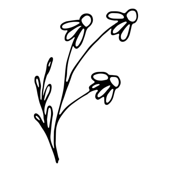 Floral Doodle Symbol Für Social Media Story Handgezeichnete Doodle Kamille — Stockvektor