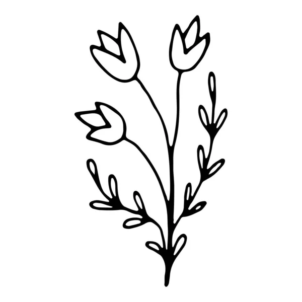 Met Hand Getekend Natuurlijk Element Bel Bloem Bloemen Hand Getekend — Stockvector