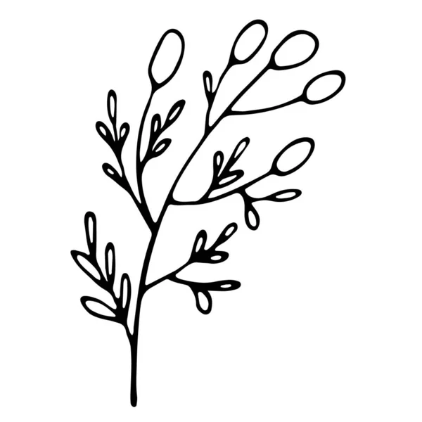 手工制作装饰品 手绘植物 盖上高光图标 设计邀请函 结婚证 情人节装饰元素 — 图库矢量图片