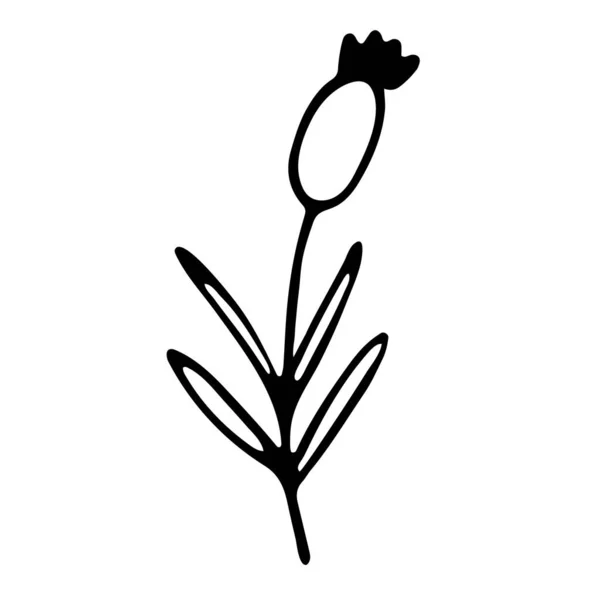 Bloemen Hand Getekend Doodle Icoon Voor Social Media Verhaal — Stockvector