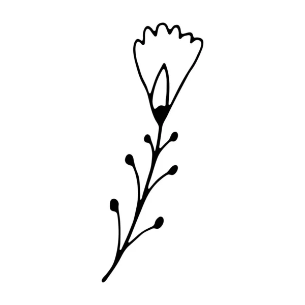 Cover Ikone Florales Handgezeichnetes Doodle Symbol Für Social Media Story — Stockvektor