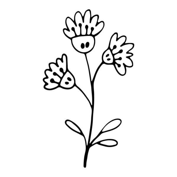 Elemento Decorativo Feito Mão Floral Flor Mão Desenhado Doodle Ícone — Vetor de Stock