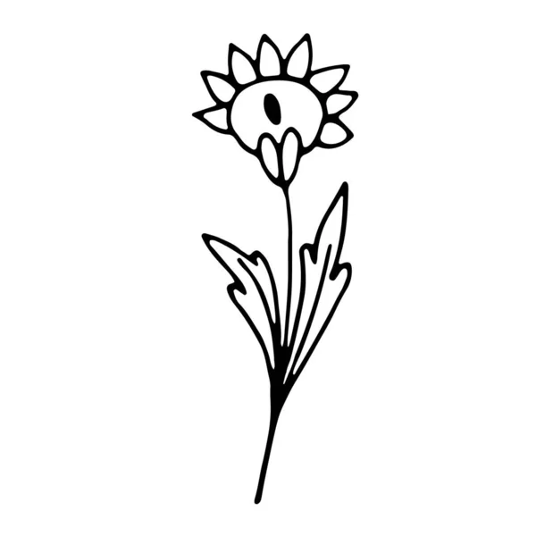 ソーシャルメディアの物語のための花の手描きのドアアイコン — ストックベクタ