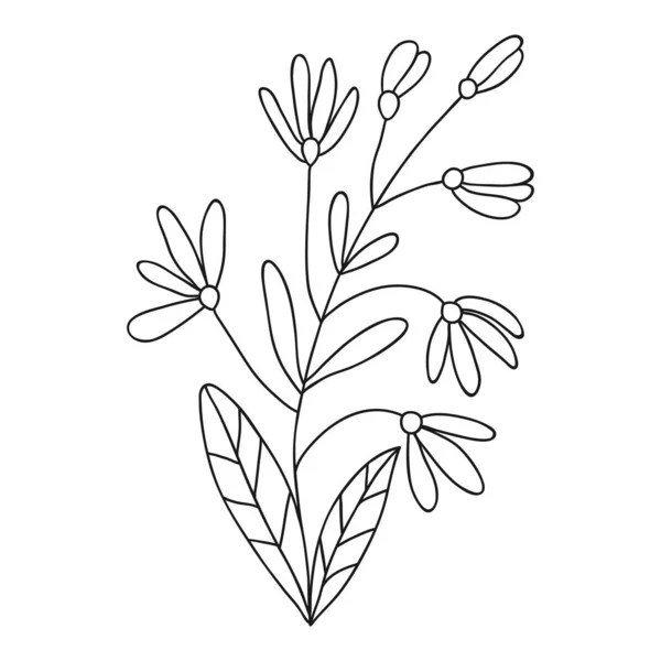 Floral Doodle Icône Pour Histoire Des Médias Sociaux Camomille Gribouillée — Image vectorielle