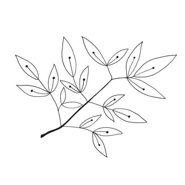 Florales Handgezeichnetes Doodle Symbol Für Social Media Story Tuschegezeichneter Zweig — Stockvektor